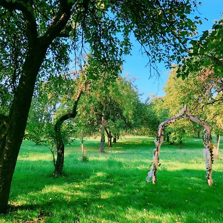 Rose House منزل للإقامة *